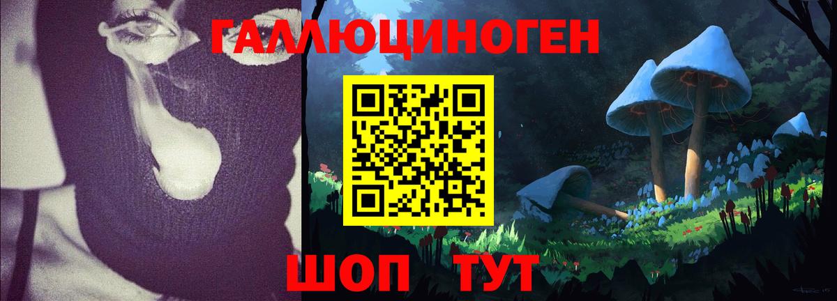 Псилоцибиновые грибы Magic Shrooms  Вход с VPN  Гурьевск  Галлюциногенные грибы GOLDEN TEACHER 