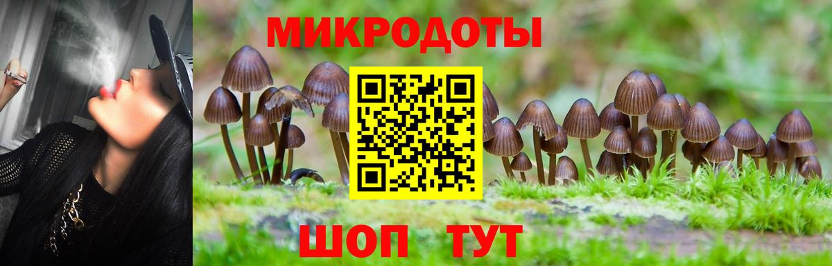 Галлюциногенные грибы Magic Shrooms Гурьевск